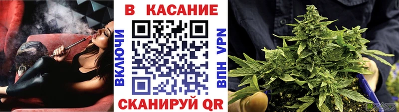 Где купить Пошехонье Конопля  MDMA  COCAIN  A PVP  Гашиш  Меф 
