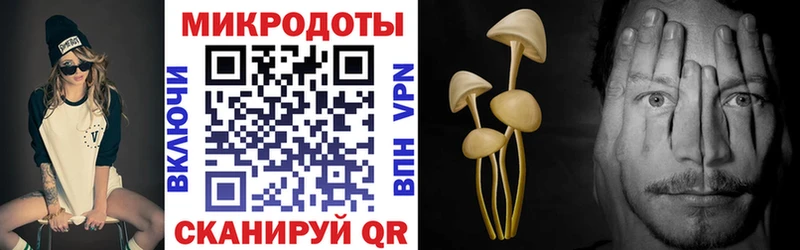 Псилоцибиновые грибы прущие грибы продажа наркотиков Пошехонье