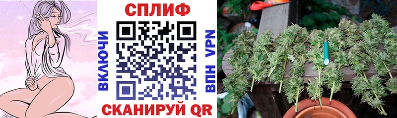 купить Пошехонье Канабис ГИДРОПОН